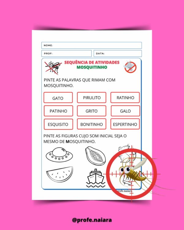 Sequências didáticas Dengue - Image 8