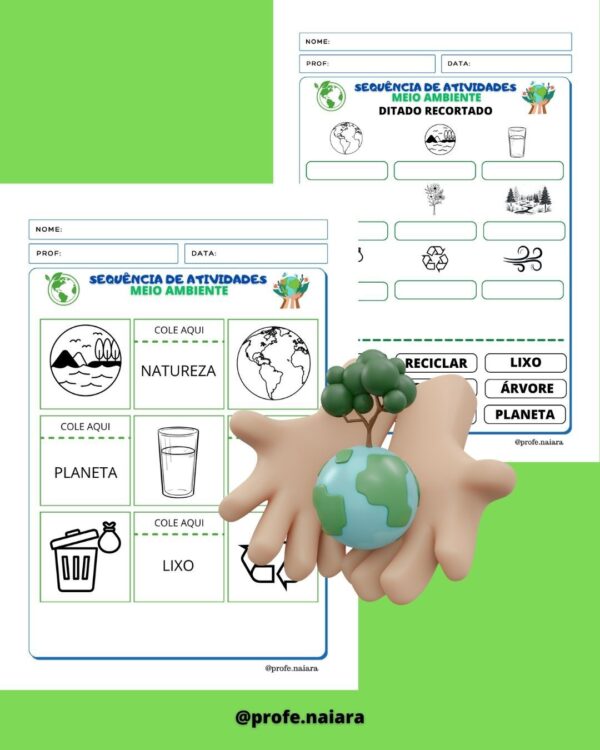 Sequência de Atividades Meio Ambiente 1° ano - Image 7