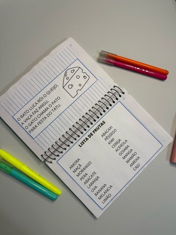Caderno de leitura - Imagem 15