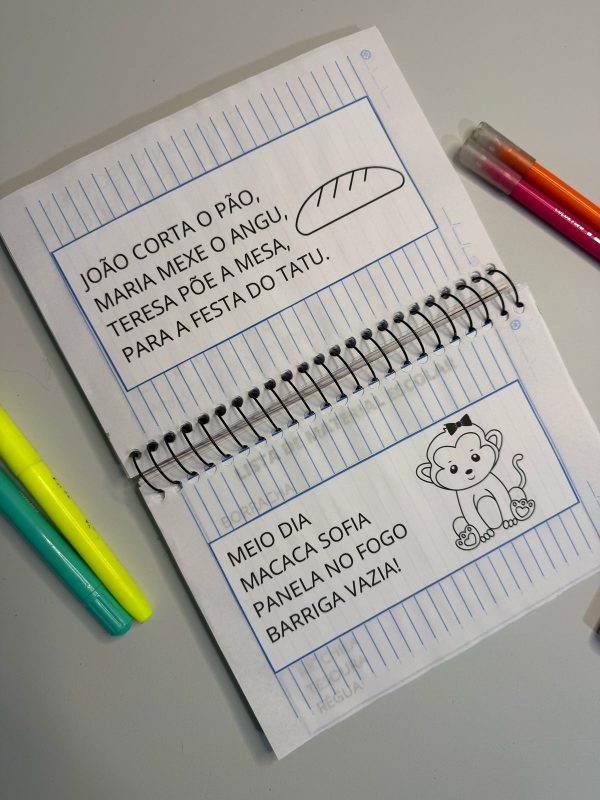 Caderno de leitura - Imagem 12