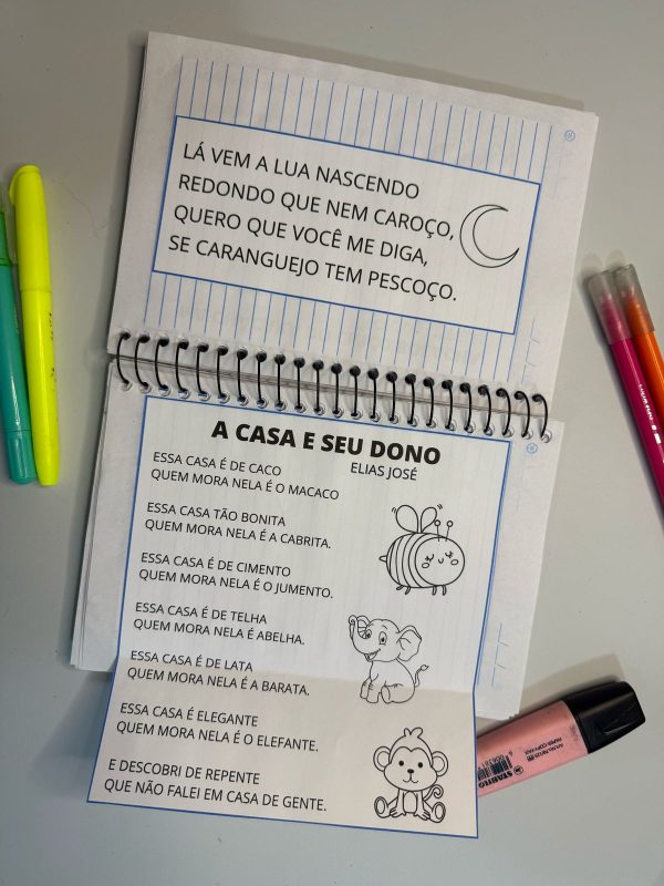 Caderno de leitura - Imagem 8