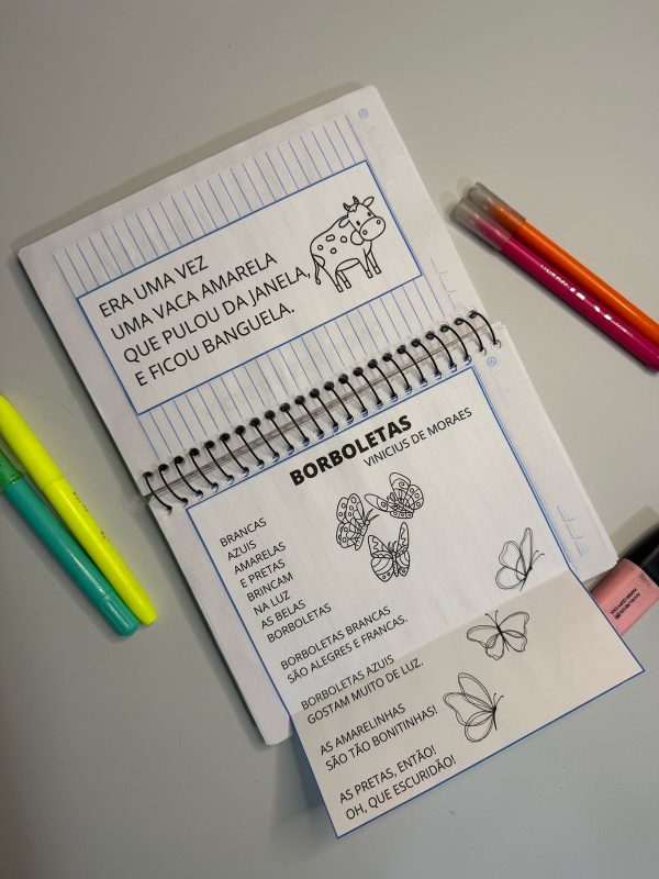 Caderno de leitura - Imagem 9