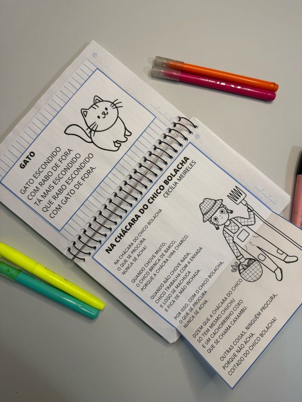 Caderno de leitura - Imagem 7