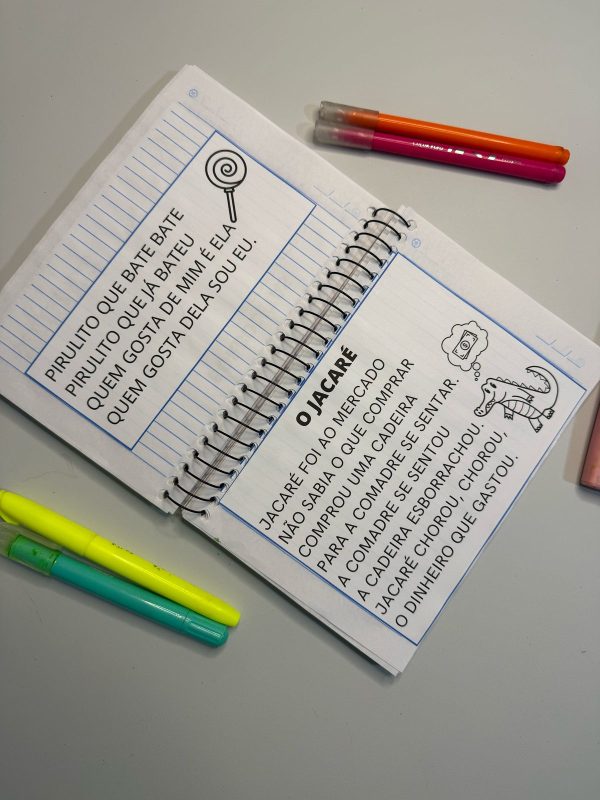 Caderno de leitura - Imagem 10