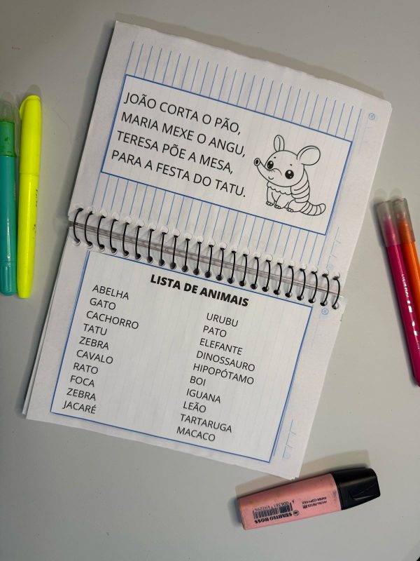 Caderno de leitura - Imagem 14