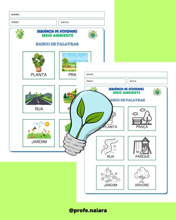 Sequência de atividades: Meio ambiente 1° Ano - Image 4