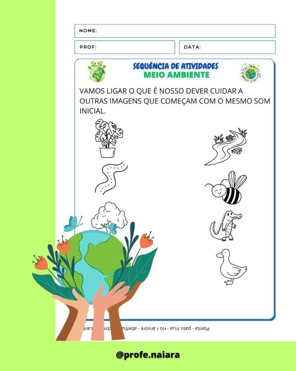 Sequência de atividades: Meio ambiente 1° Ano - Image 5