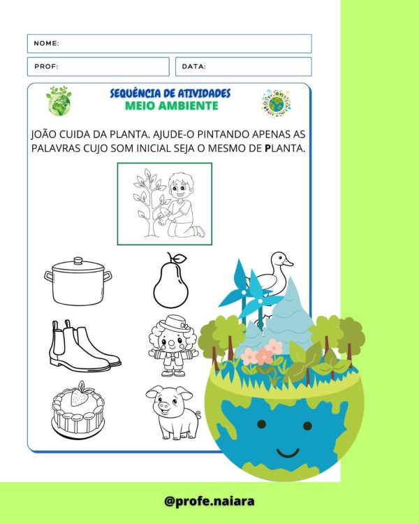 Sequência de atividades: Meio ambiente 1° Ano - Image 6