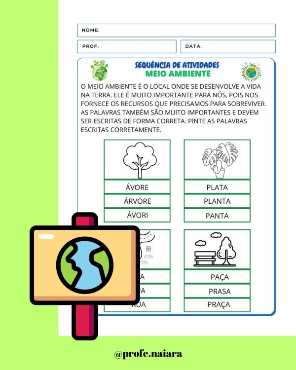 Sequência de atividades: Meio ambiente 1° Ano - Image 13