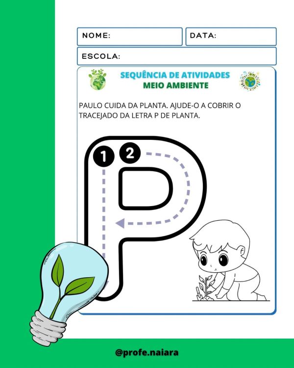 Sequência Didática Meio ambiente Educação infantil - Imagem 4