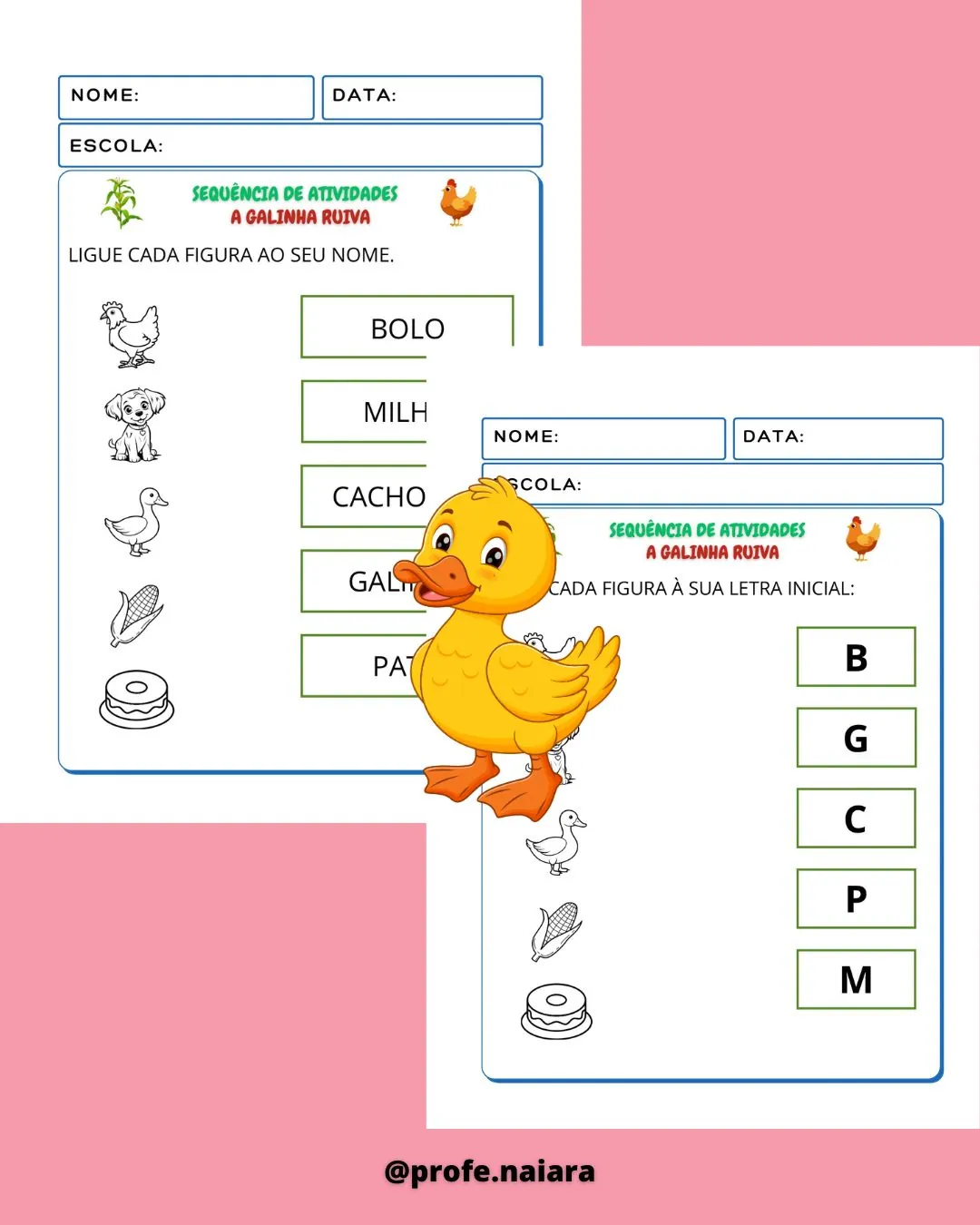 Sequência de Atividades A galinha ruiva - Educação infantil - Imagem 8